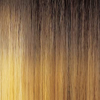 Outre Neesha Soft & Natural Synthetic Swiss Lace Front Wig NEESHA 201 (DRFF2/BTSC) - Image 5