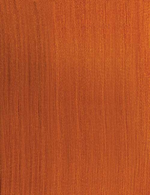 Outre X-Pression Braid - Pre Stretched Braid 32" 3X (AMBER) - Image 6